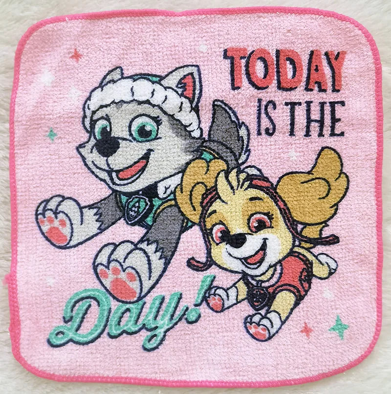 Paw Patrol Small Towel