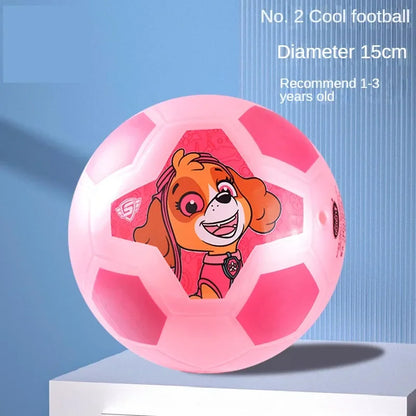 Paw Patrol Leather Ball