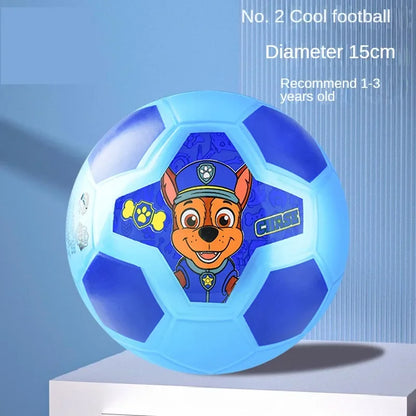 Paw Patrol Leather Ball